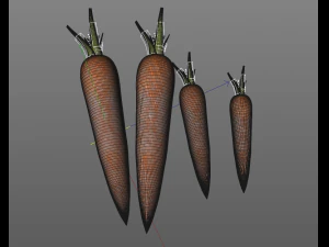 carrots 3D Model