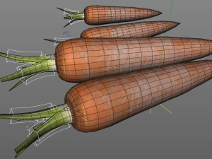 carrots 3D Model