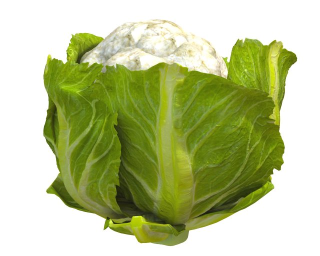 cauliflower Modelo 3D .c4d .max .obj .3ds .fbx .stl .blend 