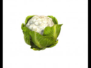 couve-flor Modelo 3D