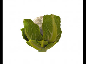 couve-flor Modelo 3D