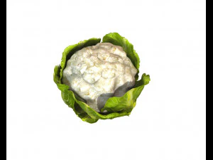 couve-flor Modelo 3D
