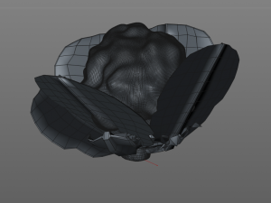 cauliflower Modelo 3D
