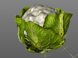 cauliflower Modelo 3D