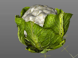 couve-flor Modelo 3D