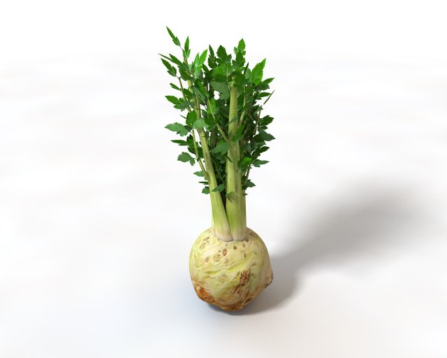 celery Model 3D .c4d .max .obj .3ds .fbx .stl .blend 