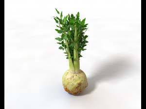 celery 3D 모델