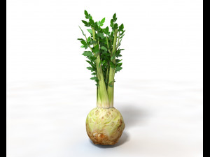 celery Model 3D