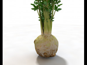 celery Model 3D