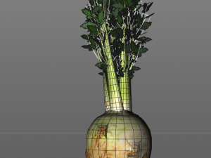 celery Model 3D