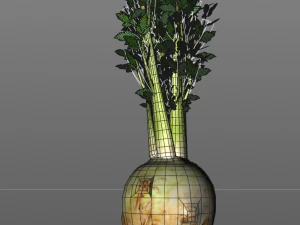 celery 3D Model