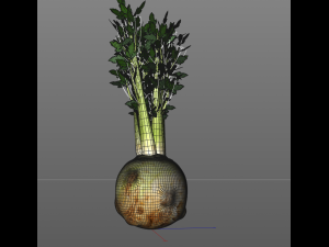 celery Model 3D