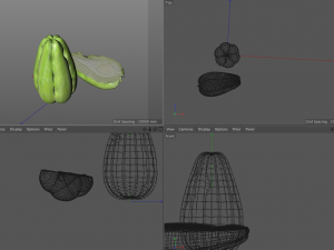 chayote 3D Model