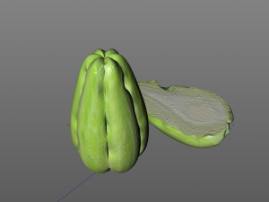 chayote 3D Model