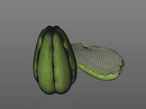 chuchu Modelo 3D