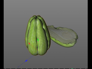 chayote 3D Model