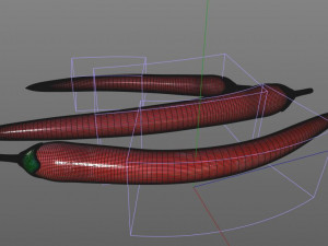 chili red pepper 3D Model