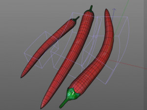 chili red pepper 3D Model
