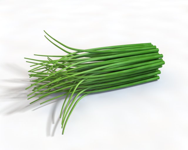 chives 3D Model .c4d .max .obj .3ds .fbx .stl .blend 