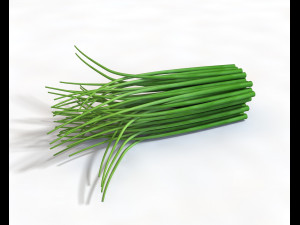 chives 3D Model