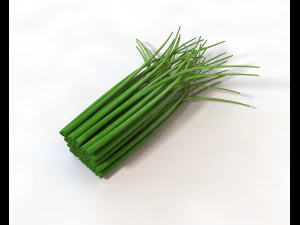 chives 3D Model