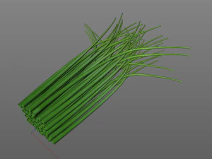 chives 3D Model