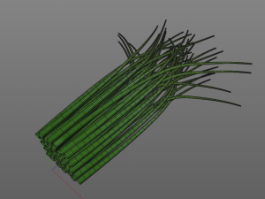 chives 3D Model