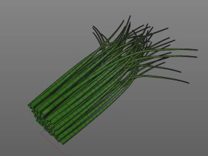 chives 3D Model
