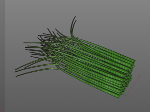 chives 3D Model