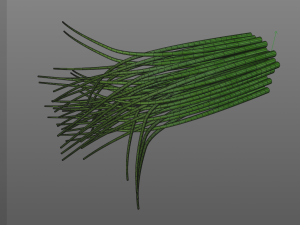 chives 3D Model