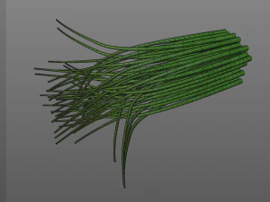 chives 3D Model