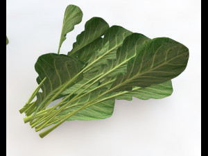 collard greens Modelo 3D