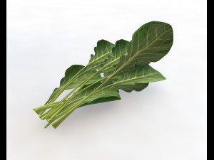 collard greens Modelo 3D