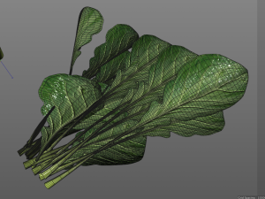 collard greens Modelo 3D