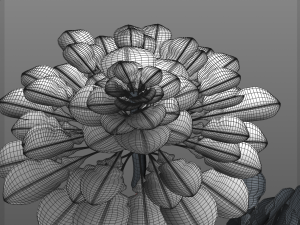 collard greens Modelo 3D