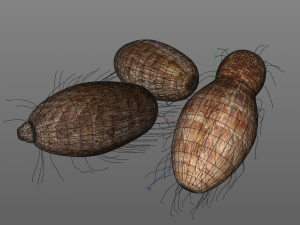 colocasia taro Modelo 3D