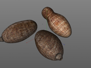 colocasia taro Modelo 3D