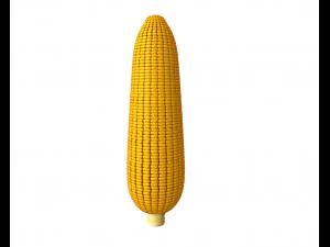 corn maize 3D Model