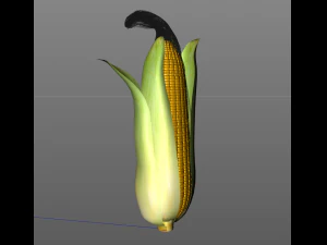 corn maize 3D Model