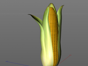 corn maize Model 3D