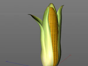 corn maize 3D Model