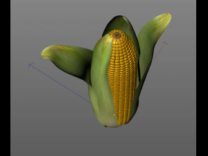 corn maize 3D Model
