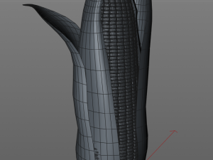 corn maize Model 3D