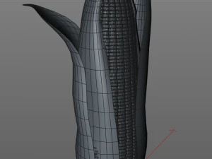 corn maize 3D Model