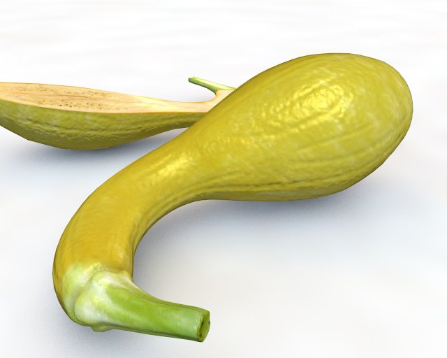 crookneck squash Modelo 3D .c4d .max .obj .3ds .fbx .stl .blend 