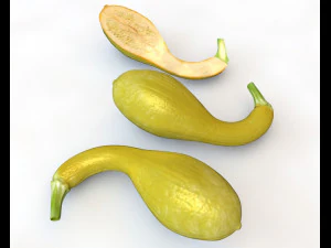 crookneck squash 3D Model