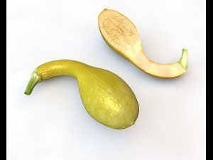 crookneck squash Modelo 3D