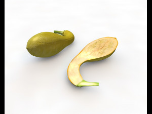 crookneck squash Modelo 3D