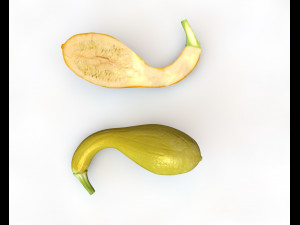 crookneck squash Modelo 3D