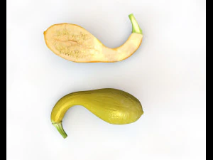 crookneck squash 3D Model